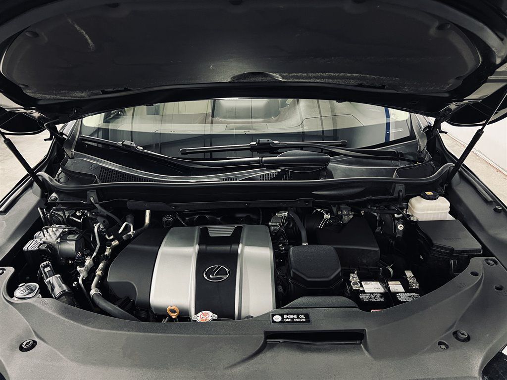 PHOTO-2025-05-22-08-22-11 11