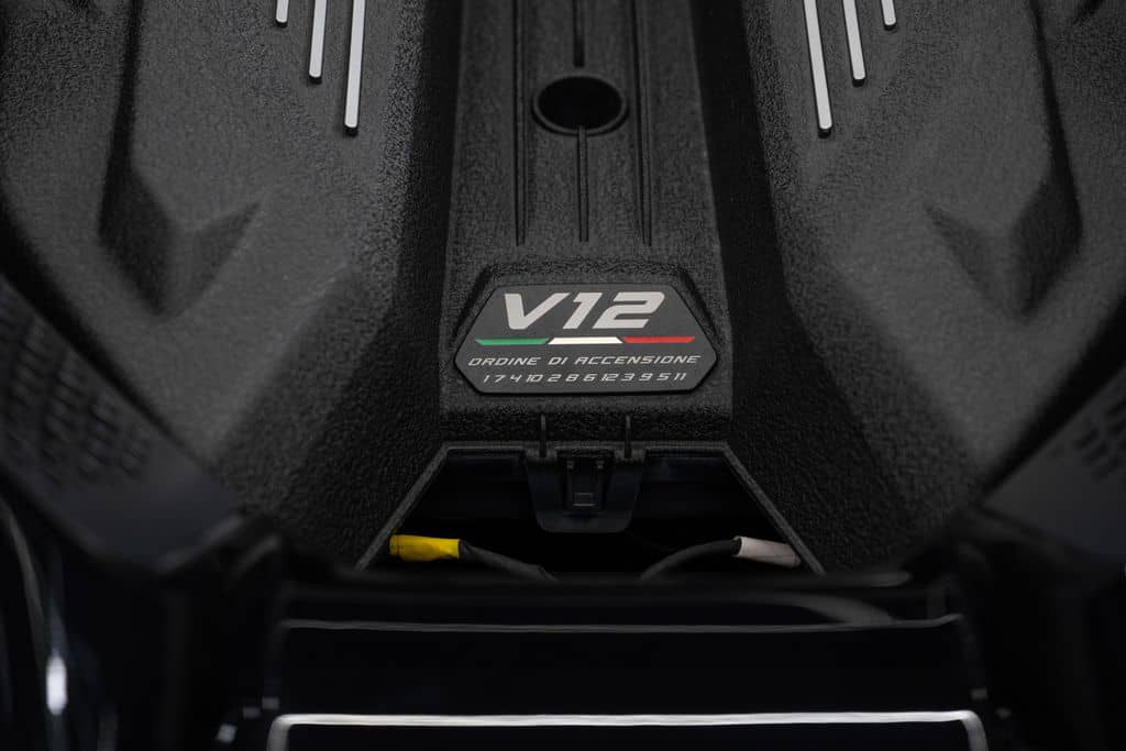 WhatsApp Image 2025-11-11 at 13.36.03